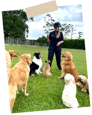 img-adiestramiento-canino-medellin-2-LCP